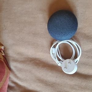 Google home with UK adapter
